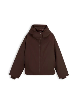 Foto van product TOMMY HILFIGER Winterjas bruin