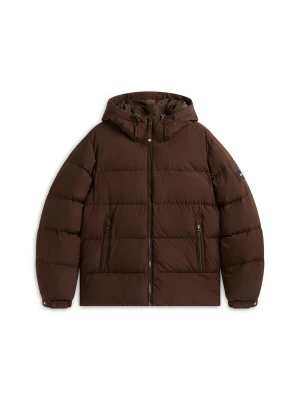 Foto van product TOMMY HILFIGER Winterjas donkerbruin