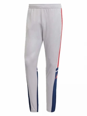 Foto van product Trainingsbroek Adidas grijs