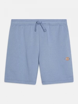 Foto van product Trainingsbroek Dickies blauw