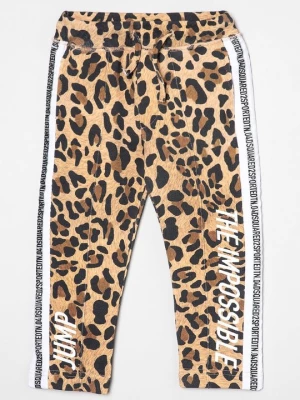 Foto van product Trainingsbroek Dsquared2 beżowy