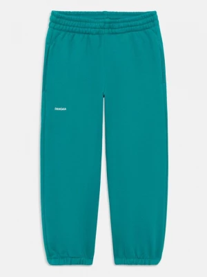 Foto van product Trainingsbroek PANGAIA groen