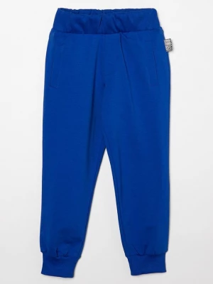 Foto van product Trainingsbroek Roberto Cavalli blauw