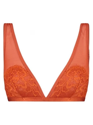 Foto van product Triangel BH Weekday bruin