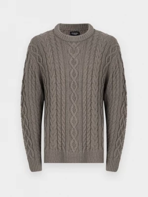 Foto van product Trui Abercrombie & Fitch bruin