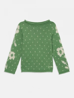 Foto van product Trui Bonton groen