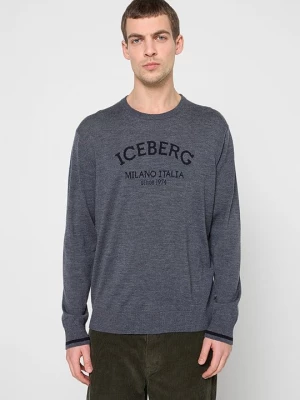 Foto van product Trui Iceberg grijs