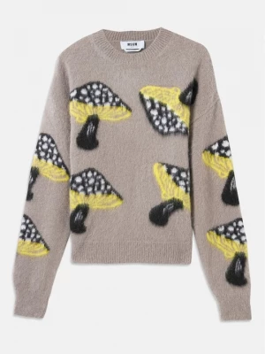 Foto van product Trui MSGM grijs