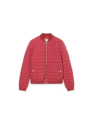 Foto van product Trussardi Winterjas rood