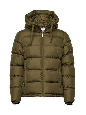 Foto van product U.. POLO ASSN. Winterjas 'UWGigi' olijfgroen U.S. POLO ASSN.