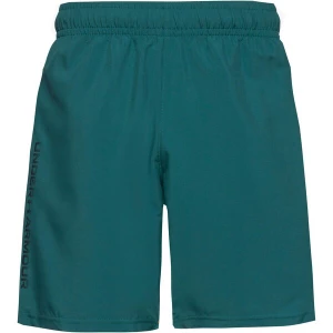 Foto van product UNDER ARMOUR Sportbroek 'Woven Wordmark' groen / zwart