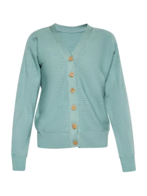 Foto van product Usha Gebreid vest aqua