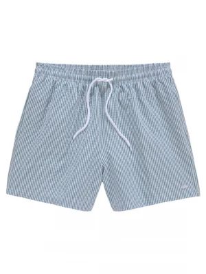 Foto van product VENICE BEACH Zwemshorts groen / wit