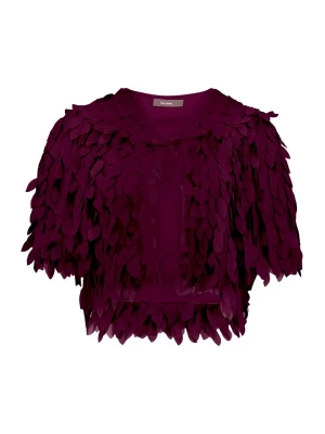 Foto van product Vera Mont Blazers aubergine
