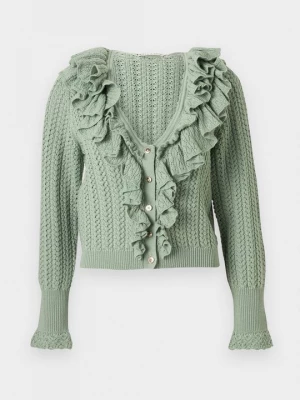 Foto van product Vest Alice + Olivia groen