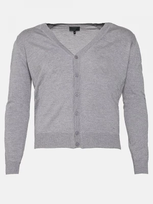 Foto van product Vest Emporio Armani lichtgrijs