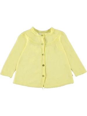 Foto van product Vest Molo geel