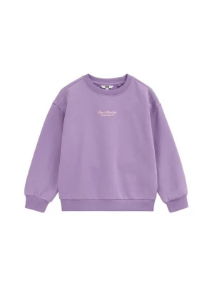 Foto van product WE Fashion Trui lavendel