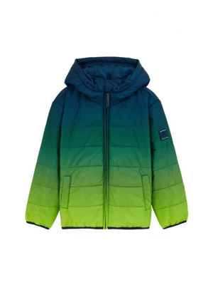 Foto van product WE Fashion Tussenjas navy / smaragd / lichtgroen