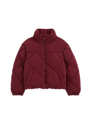 Foto van product WE Fashion Winterjas wijnrood
