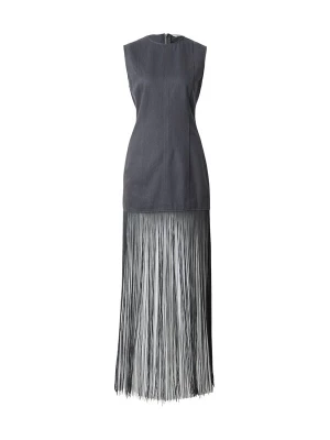 Foto van product WEEKDAY Jurk 'Freya Fringe' grijs