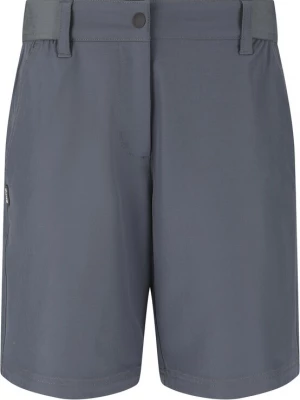 Foto van product Whistler Sportbroek 'Barrie' blauw