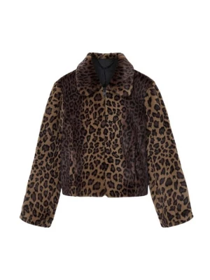Foto van product Winterjas AllSaints bruin