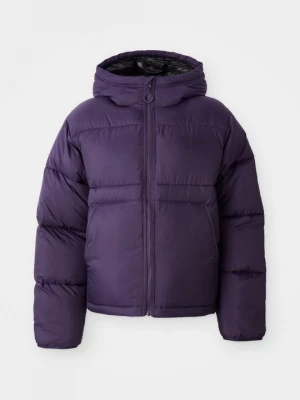 Foto van product Winterjas Carhartt WIP paars
