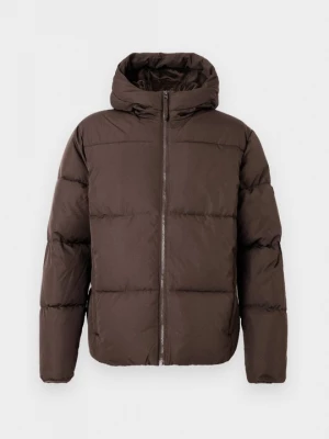 Foto van product Winterjas Hollister Co. donkerbruin