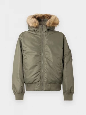 Foto van product Winterjas Hollister Co. groen