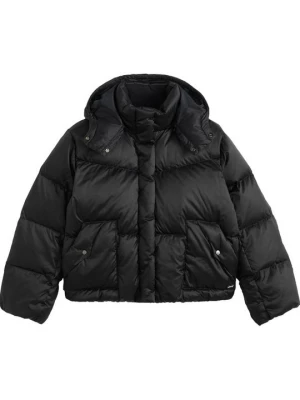 Foto van product Winterjas Levi's gemêleerd zwart