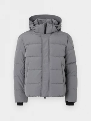Foto van product Winterjas Replay grijs