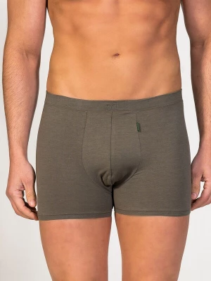 Foto van product zd ZERO DEFECTS Boxershorts 'Apolo Soy fiber' donkergroen