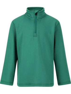 Foto van product ZigZag Shirt 'Irwin' groen