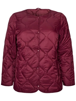 Foto van product Zizzi Tussenjas 'CALAILA' donkerrood